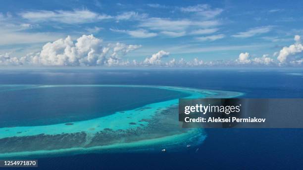 atoll of tubbataha reef - tubbataharevet bildbanksfoton och bilder