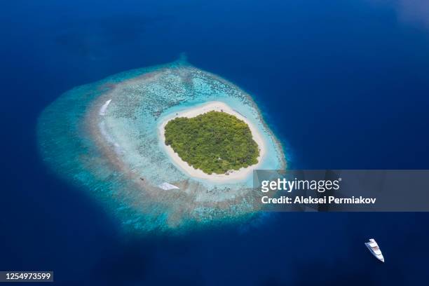 a small island, shallow reef lagoon, aerial view. - atoll - fotografias e filmes do acervo