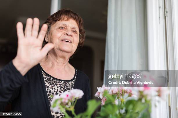 donne anziane salutano i vicini dalla sua finestra - bad neighbor foto e immagini stock