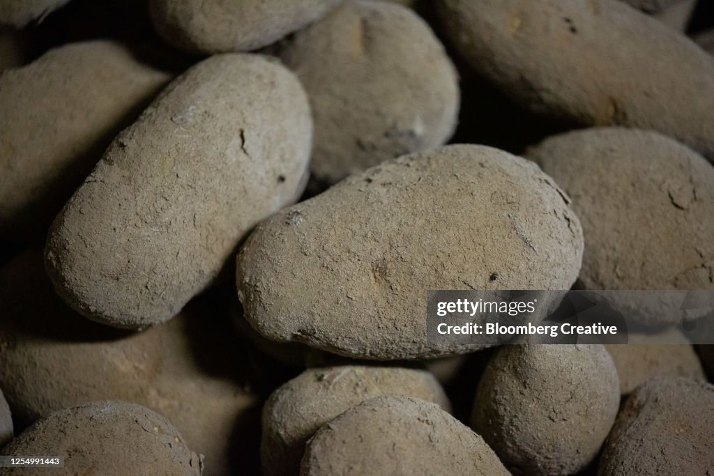 Russet Burbank Potatoes