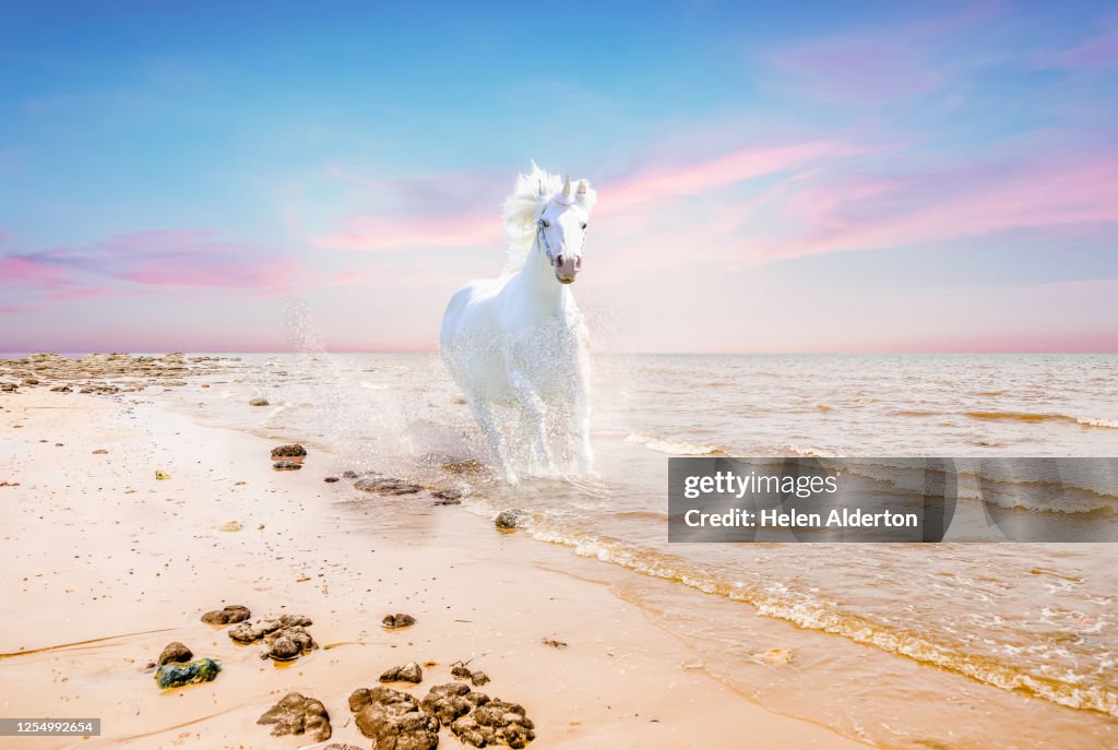 White unicorn on the beach