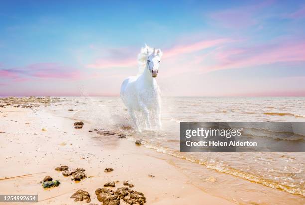 white unicorn on the beach - unicorn stock pictures, royalty-free photos & images