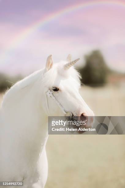 white unicorn and rainbow - unicorn stock pictures, royalty-free photos & images