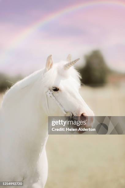 white unicorn and rainbow - unicorn 個照片及圖片檔