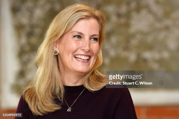 Sophie, Countess Of Wessex speaks to guests during her visit at 'The Half Moon' public house on July 08, 2020 in Windlesham, England. The Countess of...