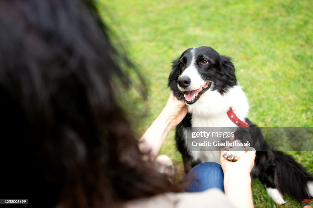 Twee vrouwen die met een gesneden hond spelen