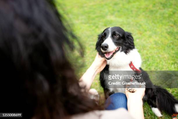 two women playing with a cut dog - trained dog stock pictures, royalty-free photos & images