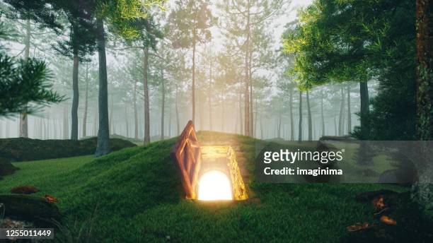 mysterious open hatch door in the forest - dreamlike stock pictures, royalty-free photos & images