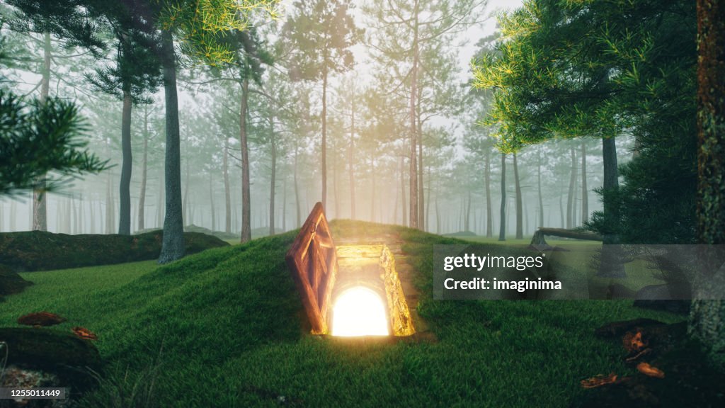 Misteriosa porta de escotilha aberta na floresta