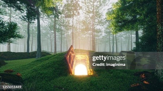 Misteriosa porta de escotilha aberta na floresta Misteriosa porta de escotilha aberta na floresta