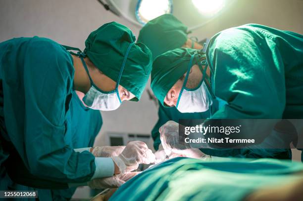 Green Scripts Surgery 73 Surgical Green Scrubs Stock Photos, High-Res Pictures, and Images ...