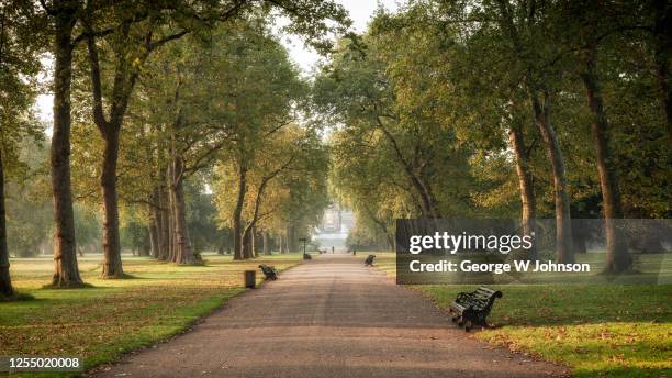 a bit of fresh air - hyde park londen stockfoto's en -beelden