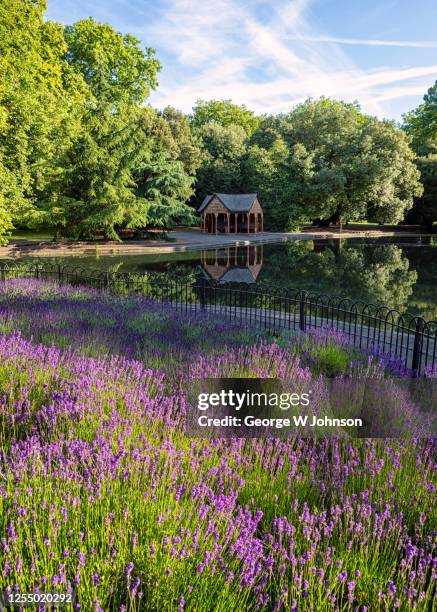 boating lake iii - battersea park fotografías e imágenes de stock