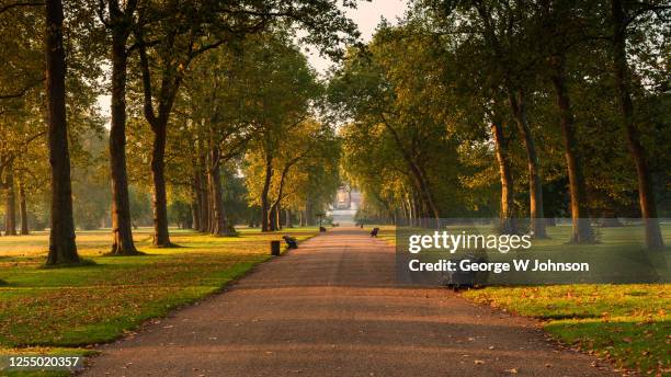 central pathway i - regent's park stockfoto's en -beelden