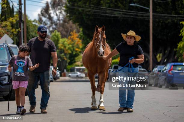 Mia Pulido and her parents Miguel Pulido 42 and Jazmin Angel take their horse Boots for a walk to nearby San Gabriel River eastern banks trail....