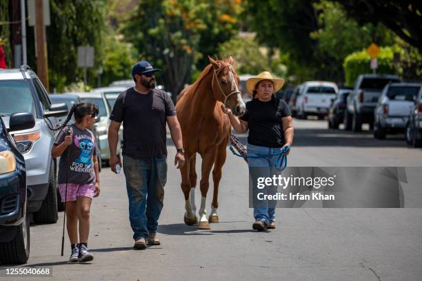 Mia Pulido and her parents Miguel Pulido 42 and Jazmin Angel take their horse Boots for a walk to nearby San Gabriel River eastern banks trail....