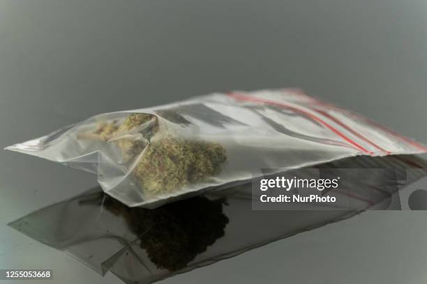 Dried flowers of HHC in a transparent plastic bag are posed on a table. The HHC is a synthetic cannabis sold freely in France and which, in front of...