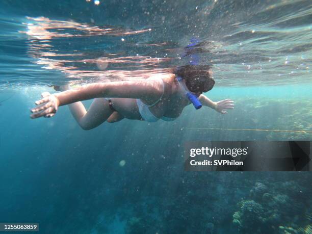 young woman swims in the clear water of the red sea. - snorkling red sea stock pictures, royalty-free photos & images