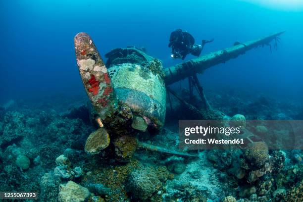 palau, diver exploring japanese airplane wreck jake sea plane underwater - palau photos et images de collection
