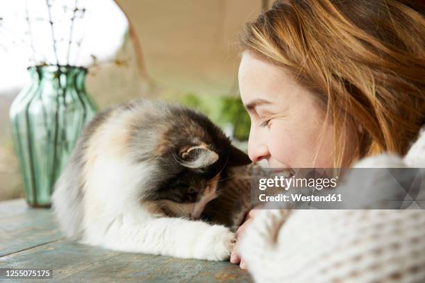 happy woman with norwegian forest cat on wooden table outdoors - norwegian forest cat stock pictures, royalty-free photos & images