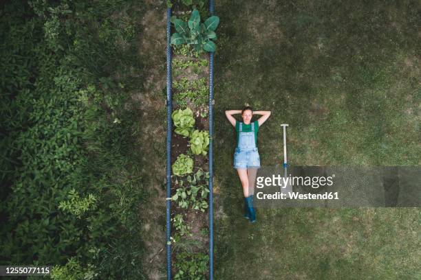 aerial view of woman lying by raised bed on land in yard - flower bed photos et images de collection