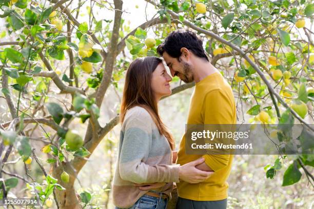 romantic couple looking at each other while standing in farm - albero di limone foto e immagini stock