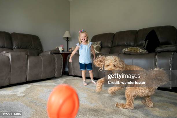 go get the ball! - indiana home stock pictures, royalty-free photos & images