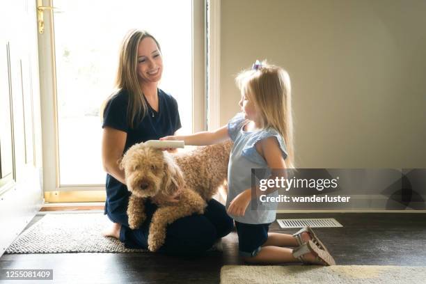 girl checking her dog's temperature - indiana home stock pictures, royalty-free photos & images