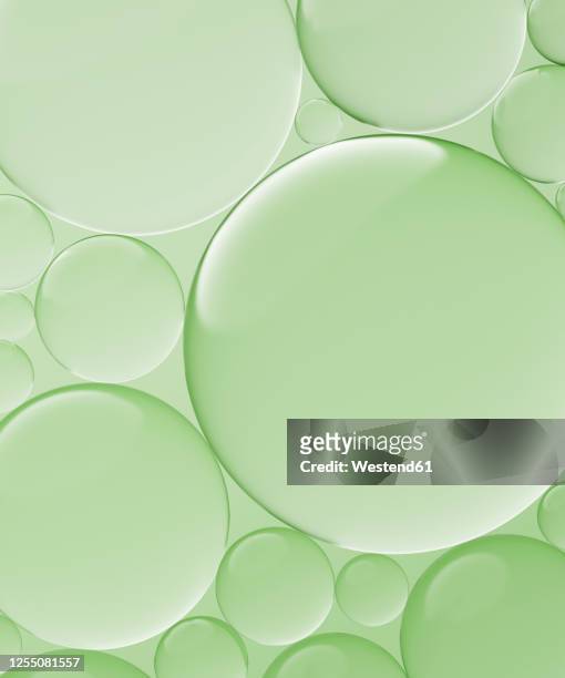 three dimensional render of transparent glass spheres against green background - völlig lichtdurchlässig stock-grafiken, -clipart, -cartoons und -symbole