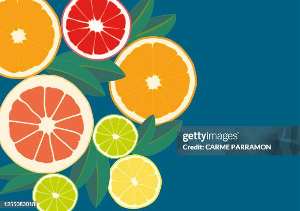 acid fruits. orange, lime, blood orange and lemon - blood orange peel stock illustrations