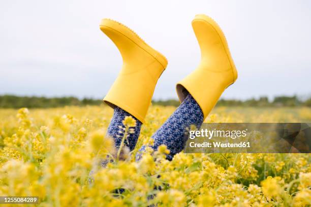 girl's legs in yellow rubber boots in rape field - botas de agua fotografías e imágenes de stock