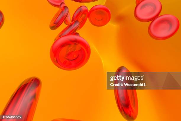 three dimensional render of flowing red blood cells - vascular plants stock illustrations