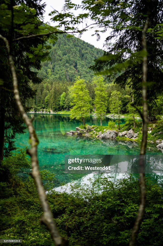 Italy, Province of Udine, Tarvisio, Turquoise shore ofFusineLake