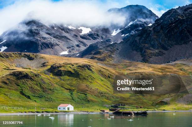 uk, south georgia and south sandwich islands, grytviken,abandoned whaling station inking edward cove - south georgia island stock pictures, royalty-free photos & images