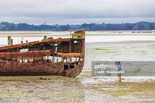 new zealand, tasman district, motueka, male tourist photographing rusty janie seddon shipwreck - motueka ストックフォトと画像