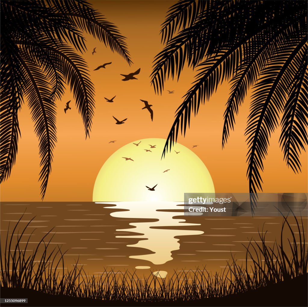 Sunset Sunrise with Beach Palm Trees of Ocean Island