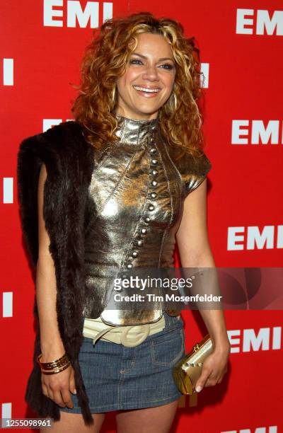 Nikka Costa attends the EMI Post Grammy party at the Los Angeles County Museum of Art on February 8, 2004 in Los Angeles, California