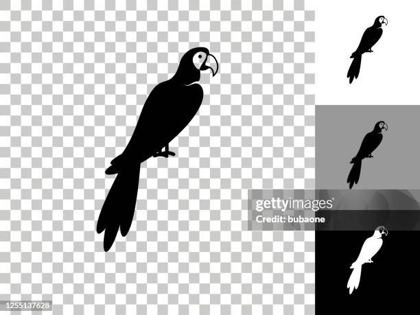 macaw bird icon on checkerboard transparent background - macaw stock illustrations