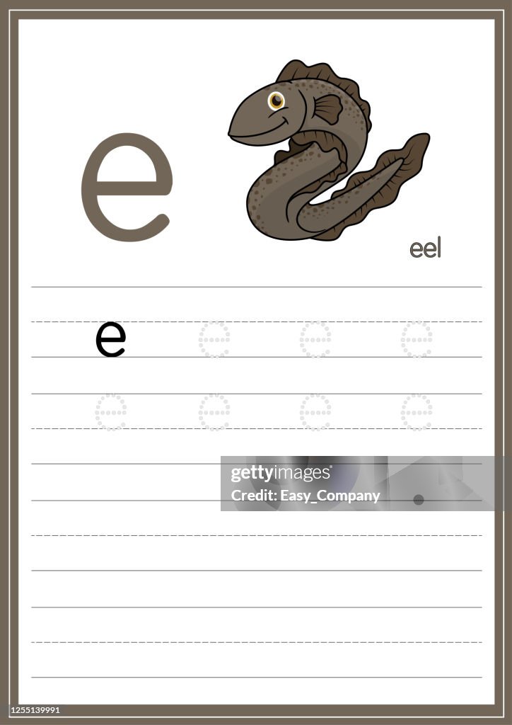 Vector illustration of Eel isolated on a white background. With the lower case alphabet letter E for use as a teaching and learning media for children to recognize English letters Or for children to learn to write letters Used to learn at home and school.