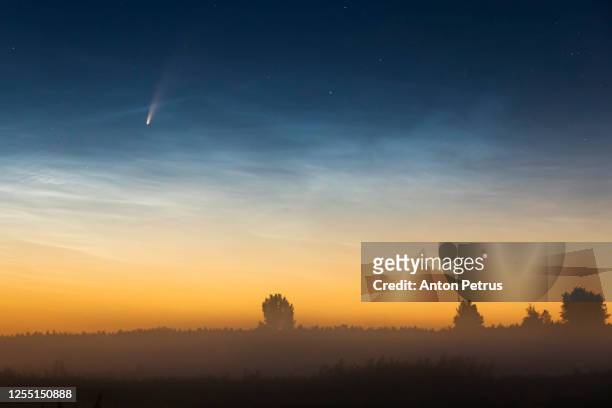 comet neowise c/2020 f3 at misty sunrise with noctilucent cloud - astrónomo fotografías e imágenes de stock