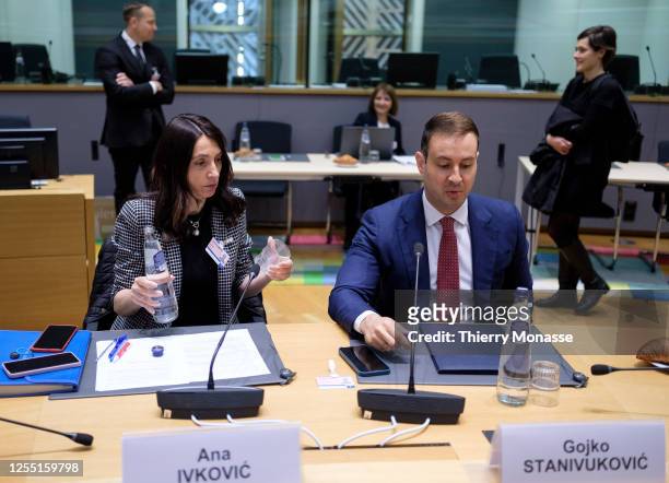 Co-Vice Governor of the National Bank of Serbia Ana Ivkovic and the State Secretary at Ministry of Finance of the Republic of Serbia Gojko...