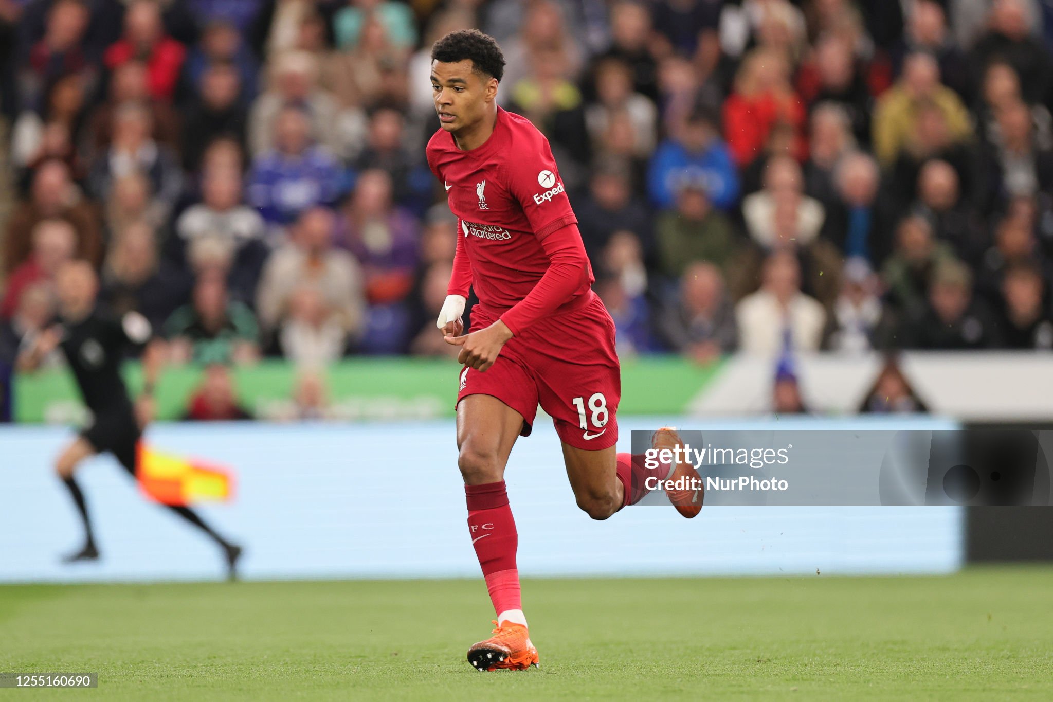 Lyrical Klopp praises Gakpo to the heavens: 'He breathes football'