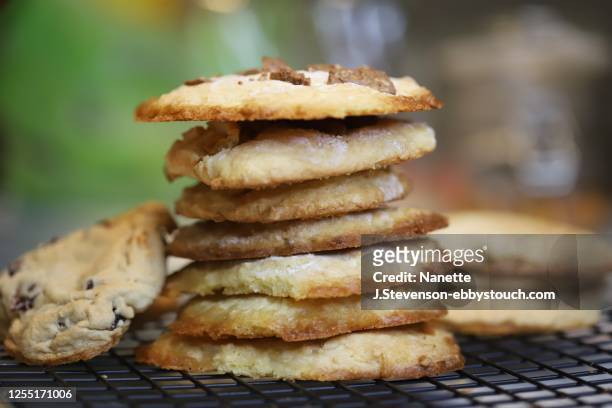 homemade cookies - coconut biscuits stockfoto's en -beelden