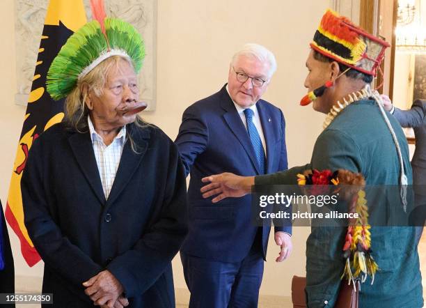 German President Frank-Walter Steinmeier invites tribal leader Raoni Metuktire , representative of the concerns of indigenous peoples in the Amazon...