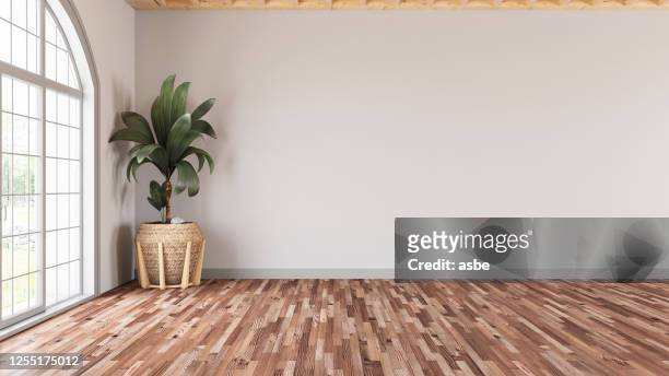 empty modern living room with white wall and plant - sparse stock pictures, royalty-free photos & images