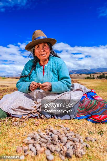 peruviaanse vrouw die chuno voorbereidt - bevroren aardappel, dichtbij cuzco, peru - inca stockfoto's en -beelden