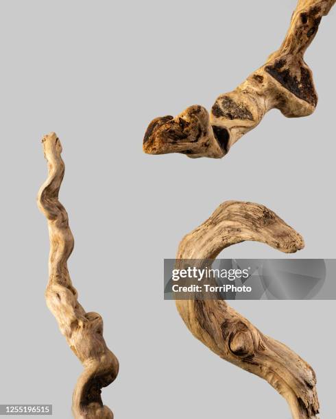 wooden driftwood on gray background - tree branch stock pictures, royalty-free photos & images