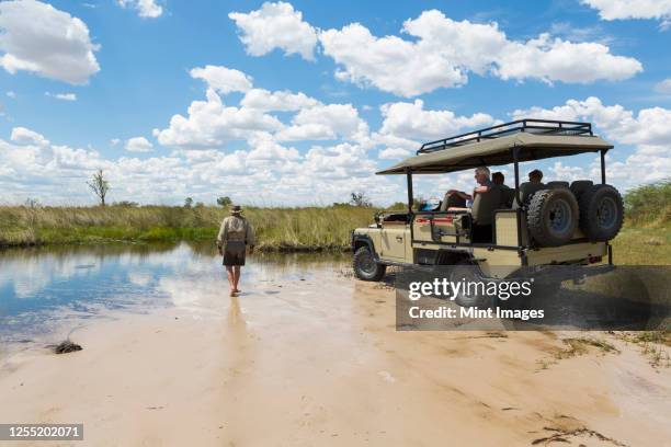 a safari vehicle with passengers, and a guide walking across sand - moremi game reserve stock pictures, royalty-free photos & images