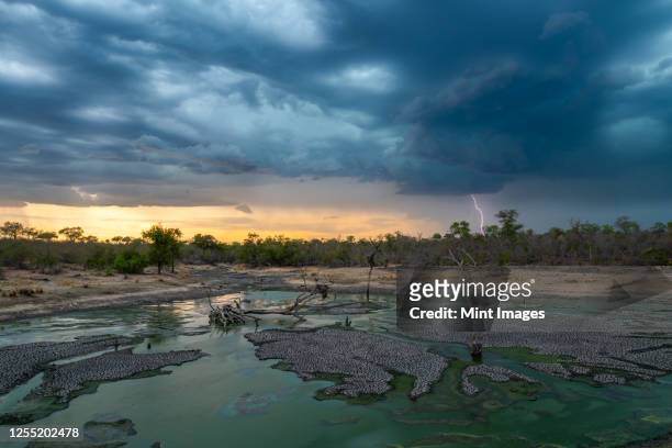 a landscape with a waterhole in the foreground and a sunset with dark clouds, rain and lightning in the background - africa sunset stock pictures, royalty-free photos & images