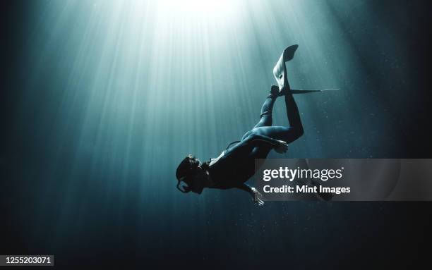 underwater view of diver wearing wet suit and flippers, sunlight filtering through from above. - scuba stock-fotos und bilder